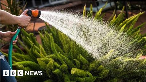 Kent and Sussex hosepipe ban announced amid。